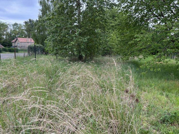 Terrain à vendre de 705m² à L'HOPITAL