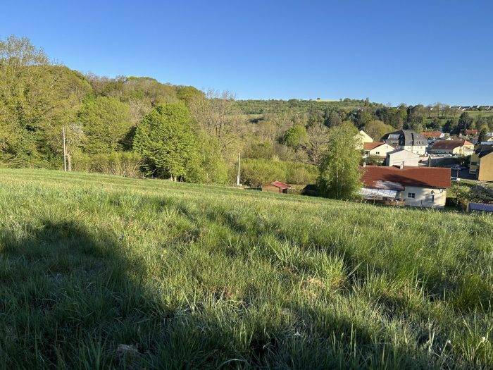 Terrain à vendre à Longeville lès ST AVOLD– 6 763 m² dont 28 ares constructibles – À l’abri des regards