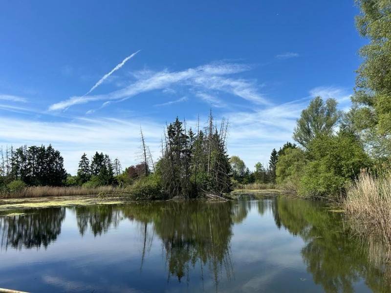 Etang avec maison lorraine à rénover à vendre à LEYVILLER